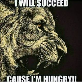 11386540_838768929547924_1338567678_n